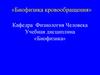 Биофизика кровообращения