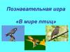 Познавательная игра «В мире птиц»