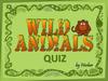 Wild animals. Quiz