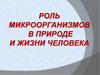 Роль микроорганизмов в природе и жизни человека
