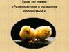 Размножение и развитие организмов