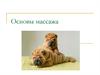 Основы массажа