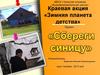 Краевая акция «Зимняя планета детства». Проект "Сбереги синицу"