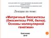 Матричные биосинтезы (биосинтезы РНК, белка). Основы молекулярной генетики