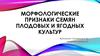 Морфологические признаки семян плодовых и ягодных культур