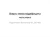 Вирус иммунодефицита человека (ВИЧ)