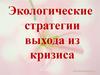 Экологические стратегии выхода из кризиса