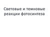 Световые и темновые реакции фотосинтеза