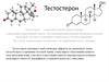 Тестостерон. Лекция  9