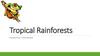 Tropical Rainforests