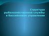 Структура рыбохозяйственной службы в бассейновом управлении