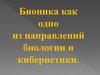 Бионика, как одно из направлений биологии и кибернетик