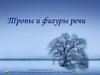 Тропы и фигуры речи