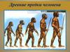 Древние предки человека