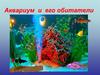 Аквариум и его обитатели