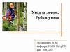 Уход за лесом. Рубки ухода
