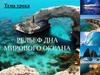 Рельеф дна Мирового океана