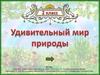 Удивительный мир природы. 2 класс