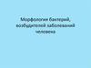 Морфология бактерий, возбудителей заболеваний человекаv