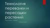 Технология перевалки и пересадки растений