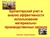 Бухгалтерский учет и анализ эффективности использования материально-производственных запасов