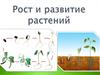 Рост и развитие растений