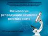 Физиология репродукции крупного рогатого скота