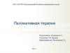 Паллиативная терапия