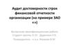Аудит достоверности строк финансовой отчетности организации