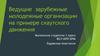 Ведущие зарубежные молодежные организации на примере скаутского движения. Тема 5