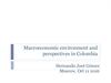 Macroeconomic environment and perspectives in Colombia