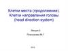 Клетки места (продолжение). Клетки направления головы (head direction system)