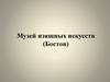 Музей изящных искусств (Бостон)