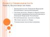 Налоговая система