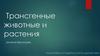 Трансгенные животные и растения