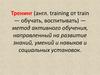 Занятие-тренинг. Три основных типа тренингов