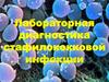 Лабораторная диагностика стафилококковой инфекции
