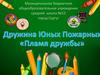 Дружина Юных Пожарных «Пламя дружбы»