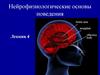 Нейрофизиологические основы поведения. Лекция 4