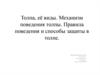 Толпа, её виды. Механизм поведения толпы. Правила поведения и способы защиты в толпе