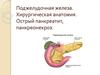 Поджелудочная железа. Хирургическая анатомия. Острый панкреатит, панкреонекроз