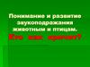 Понимание и развитие звукоподражания животным и птицам. Кто как кричит?