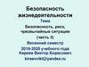 Безопасность жизнедеятельности