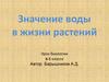 Значение воды в жизни растений