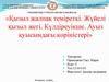 Қызыл жалпақ теміреткі. Жүйелі қызыл жегі. Күлдіреуікше. Ауыз қуысындағы көріністері