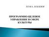 Программно-целевое управление в сфере культуры