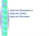 Общая характеристика покрытосеменных. Классификация