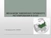 Механизм таможенно-тарифного регулирования в ЕАЭС. (Лекция 5)