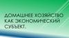 Домашнее хозяйство как экономический субъект
