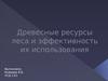 Древесные ресурсы леса и эффективность их использования